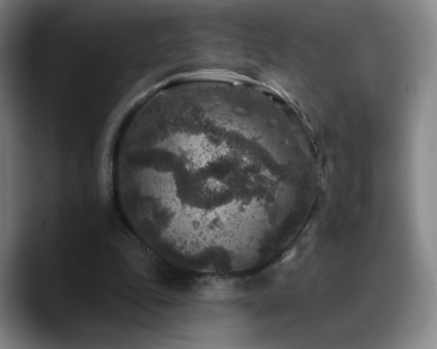 X0000090730343200707201413