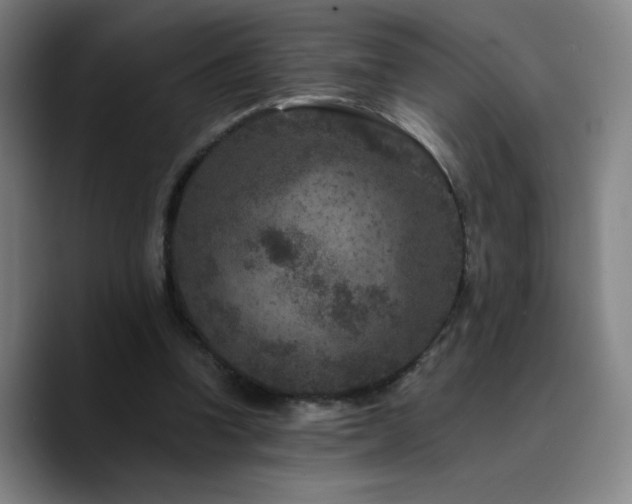 X0000090730346200707201413