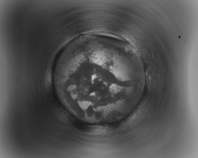 X0000090730347200707201413
