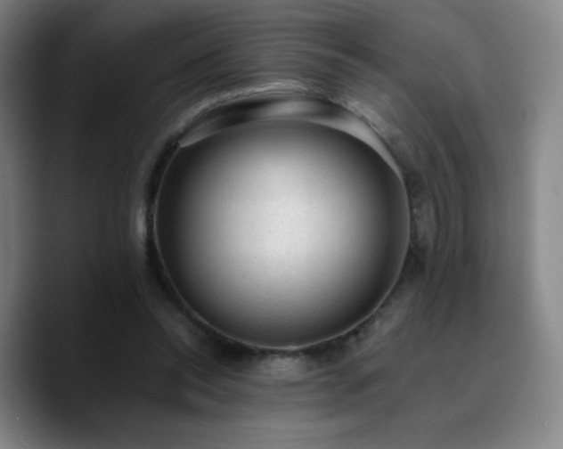 X0000090730350200707201413