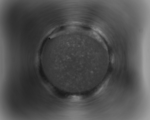 X0000090730352200707201413