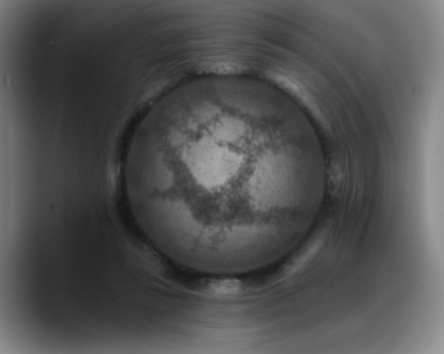 X0000090730355200707201413