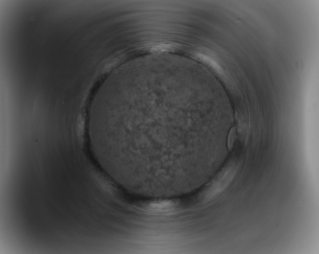 X0000090730357200707201413