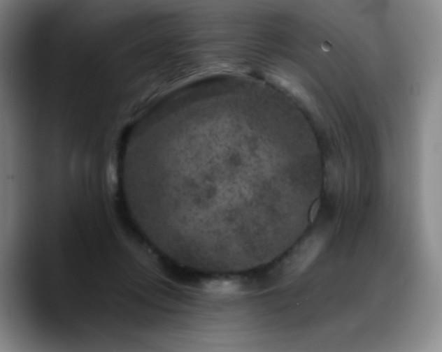 X0000090730358200707201413