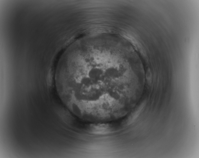X0000090730359200707201413