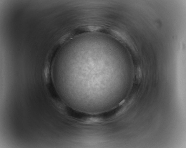 X0000090730360200707201413