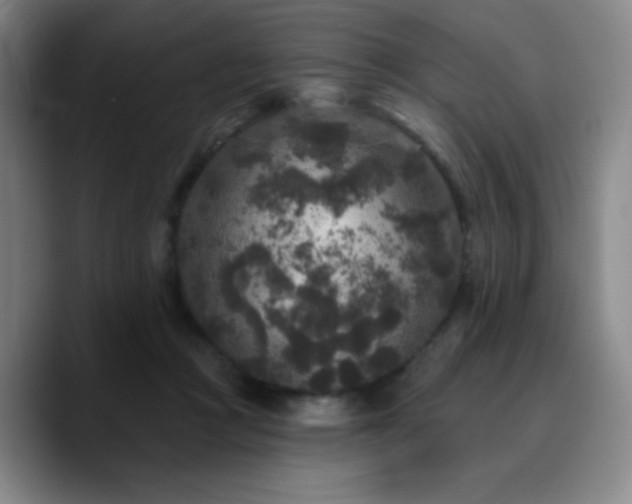 X0000090730361200707201413