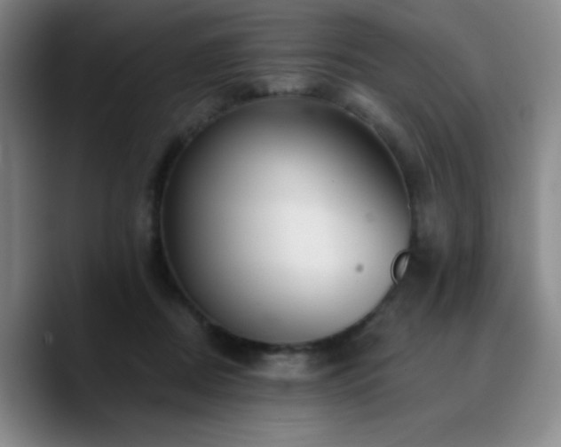 X0000090730362200707201413