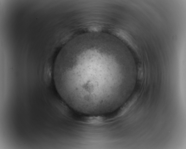 X0000090730363200707201413