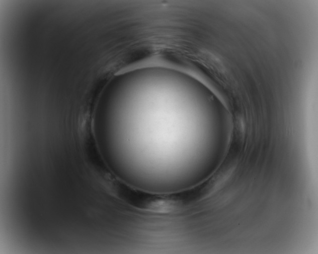 X0000090730364200707201413