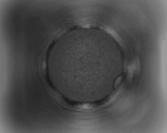 X0000090730365200707201413