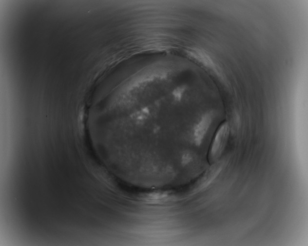 X0000090730366200707201413