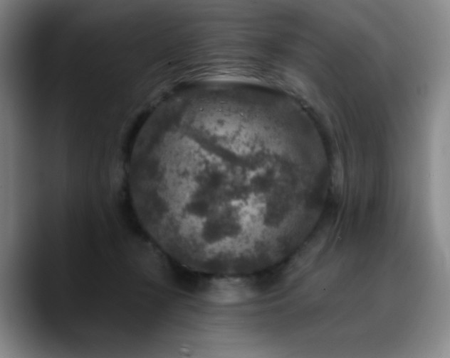 X0000090730367200707201413