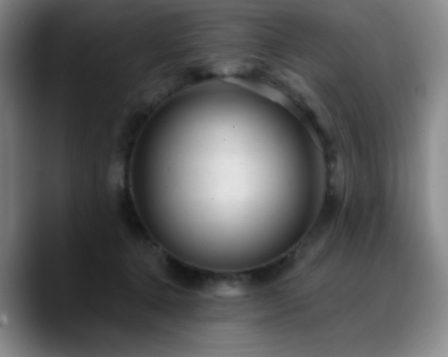 X0000090730368200707201413