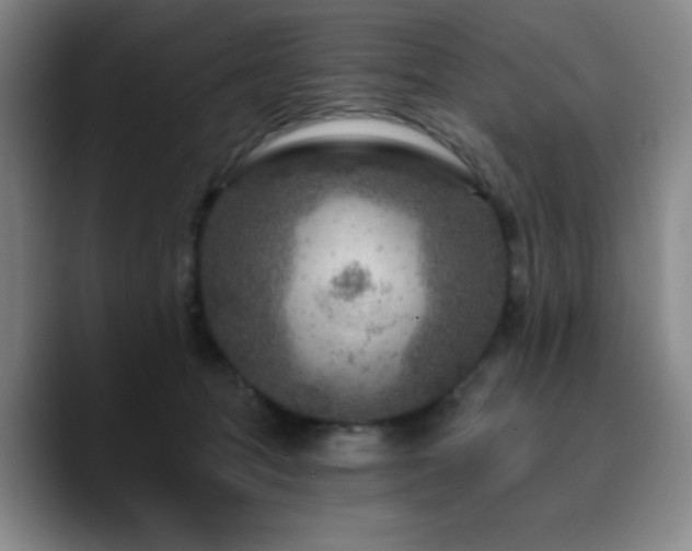 X0000090730369200707201413