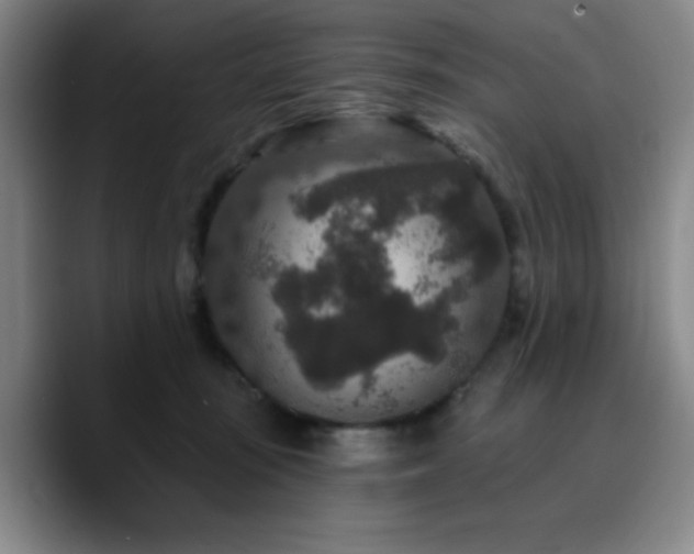 X0000090730371200707201413