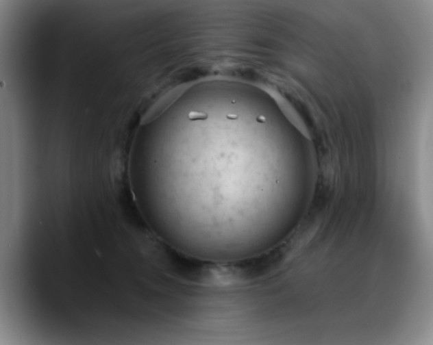 X0000090730372200707201413