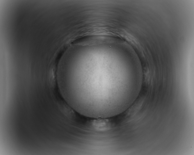 X0000090730373200707201413
