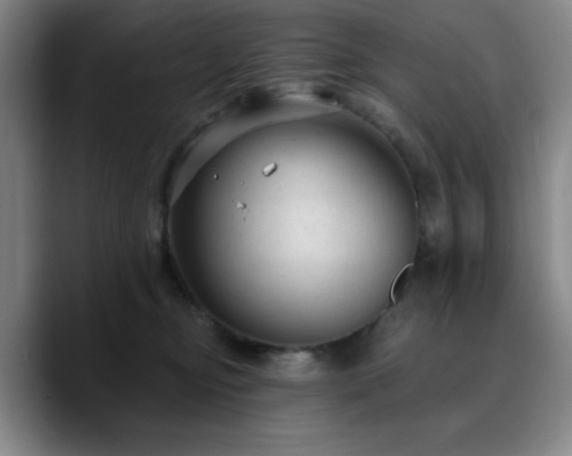 X0000090730374200707201413