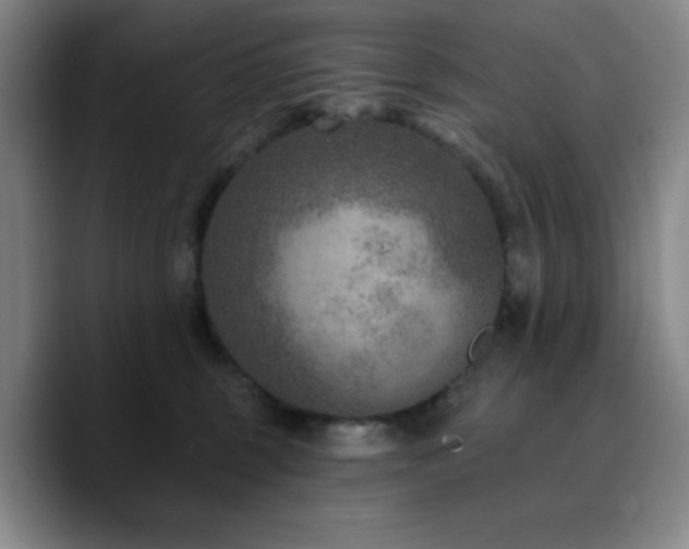 X0000090730375200707201413