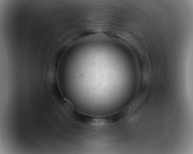 X0000090730376200707201413