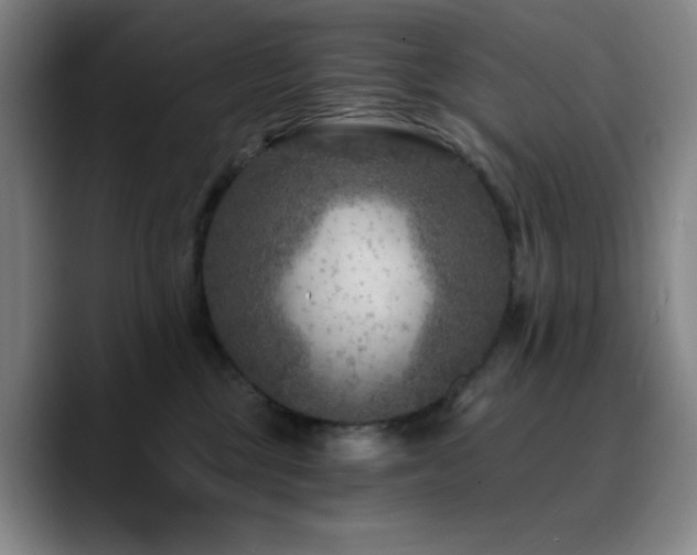 X0000090730377200707201413
