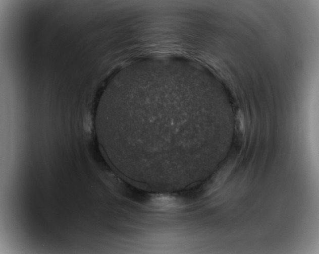 X0000090730380200707201414