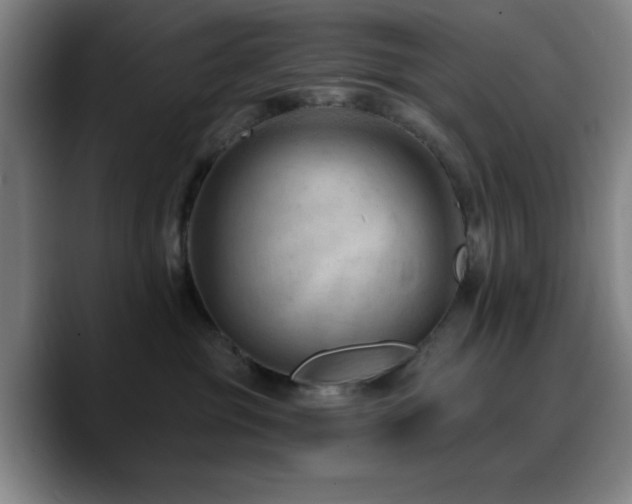 X0000090730381200707201414