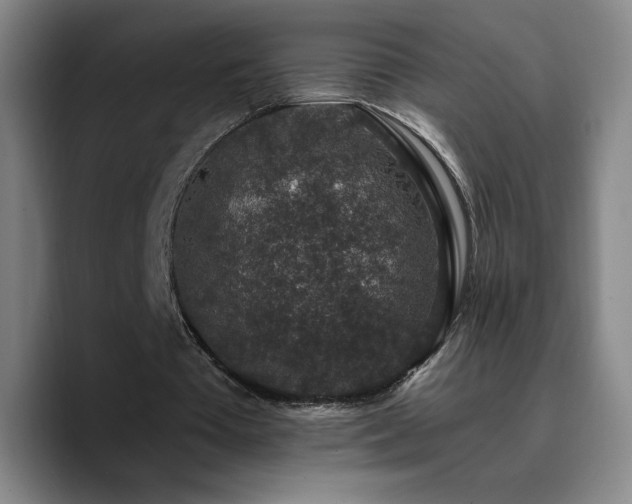 X0000090730385200707201413