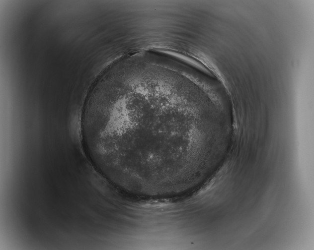 X0000090730386200707201413