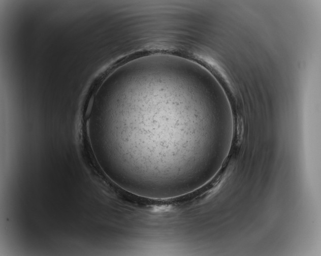 X0000090730388200707201413