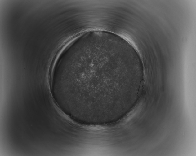 X0000090730389200707201413