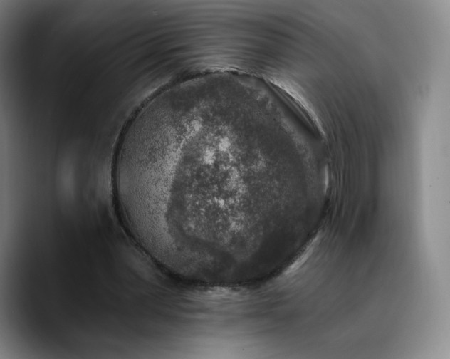 X0000090730390200707201413