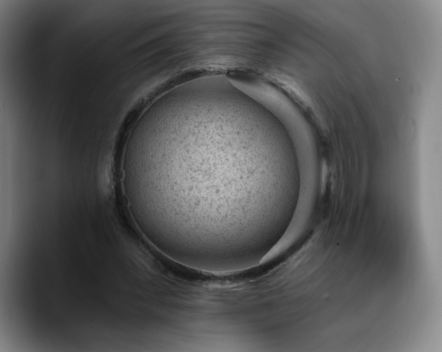 X0000090730392200707201413
