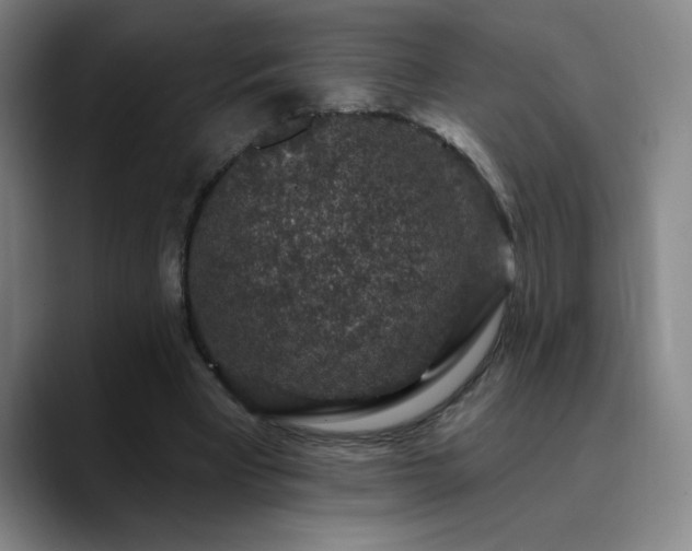 X0000090730393200707201413