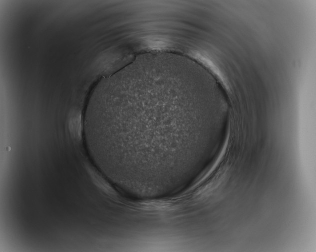 X0000090730397200707201413