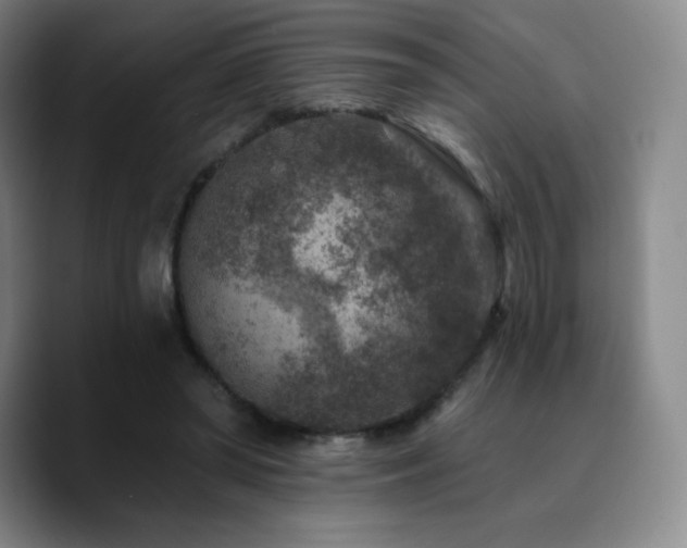 X0000090730398200707201413