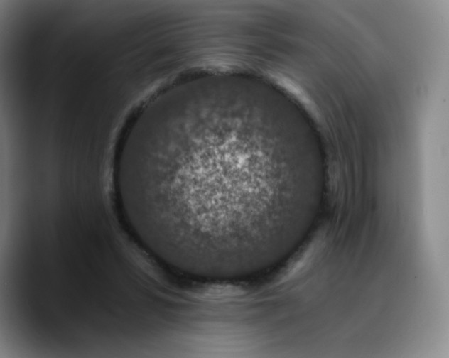 X0000090730399200707201413