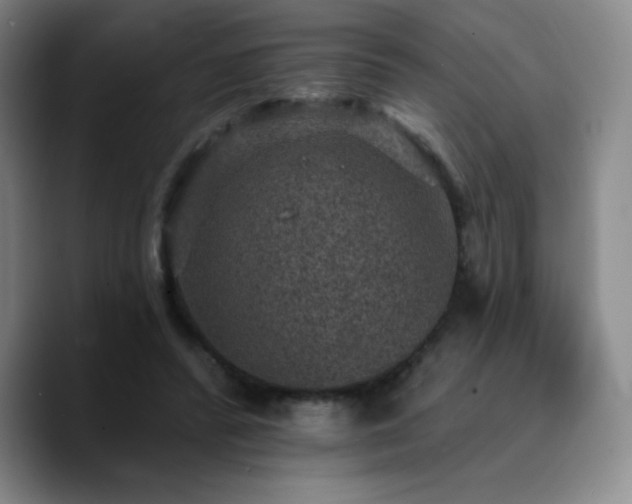 X0000090730400200707201413