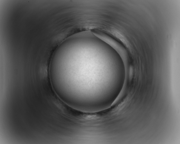 X0000090730401200707201413