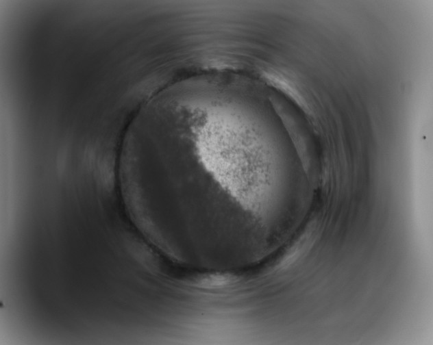 X0000090730402200707201413