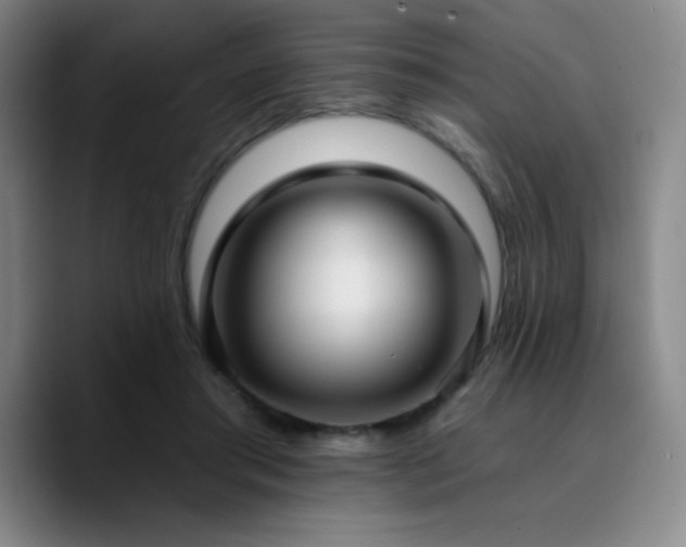 X0000090730405200707201413