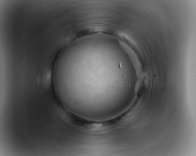 X0000090730406200707201413