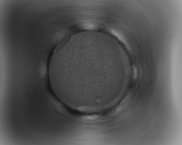 X0000090730407200707201413