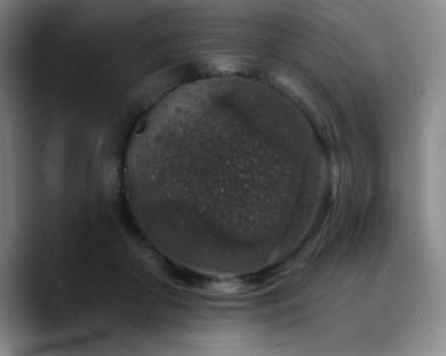 X0000090730410200707201413