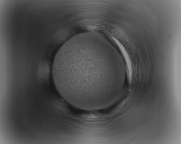 X0000090730412200707201413