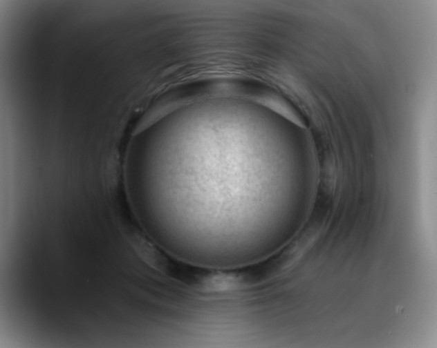 X0000090730413200707201413