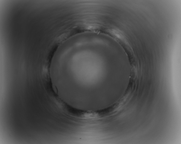 X0000090730415200707201413