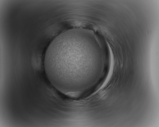 X0000090730416200707201413