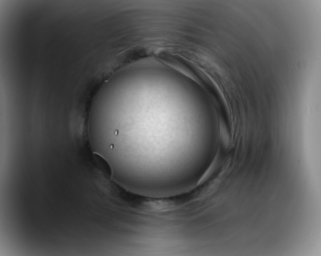 X0000090730417200707201413